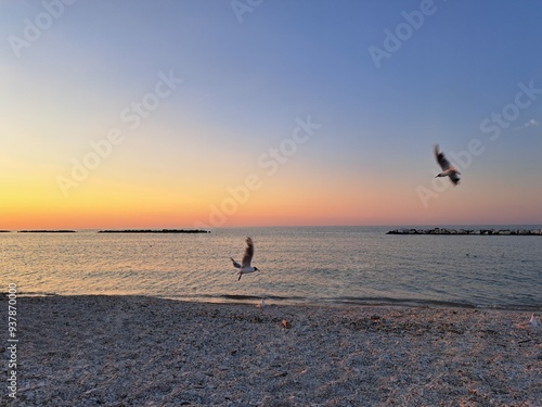 spiaggia con gabbiani in volo