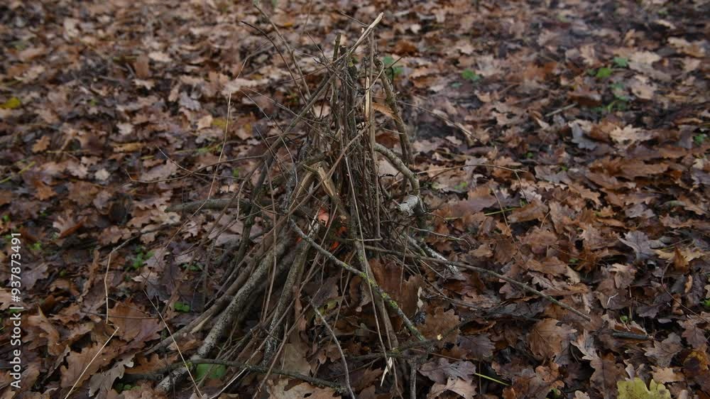Survival fire concept: A fire in the woods on a carpet of leaves, bushcraft basic skill Survival fire concept: A fire in the woods on a carpet of leaves, bushcraft basic skill