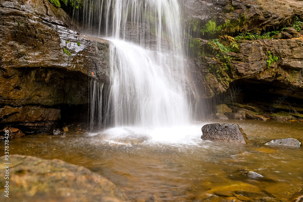 Fototapeta premium waterfall in the forest