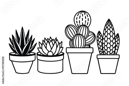 Vector illustration of diverse succulents in textured pots, perfect for botanical designs.