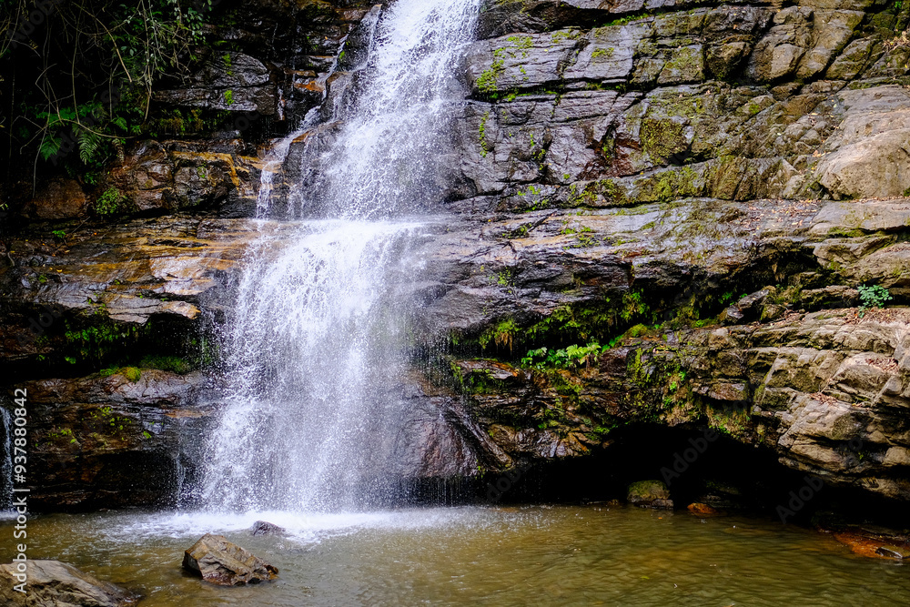 Fototapeta premium waterfall in the woods