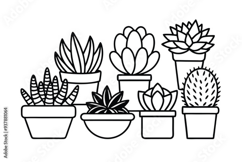 Vector illustration of diverse succulents in textured pots, perfect for botanical designs.