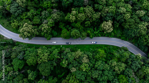 Aerial view car drive in green tree forest road winding road through the forest, Car drive on asphalt road between green tree forest, Electric vehicle EV car drive on asphalt road green tree forest.