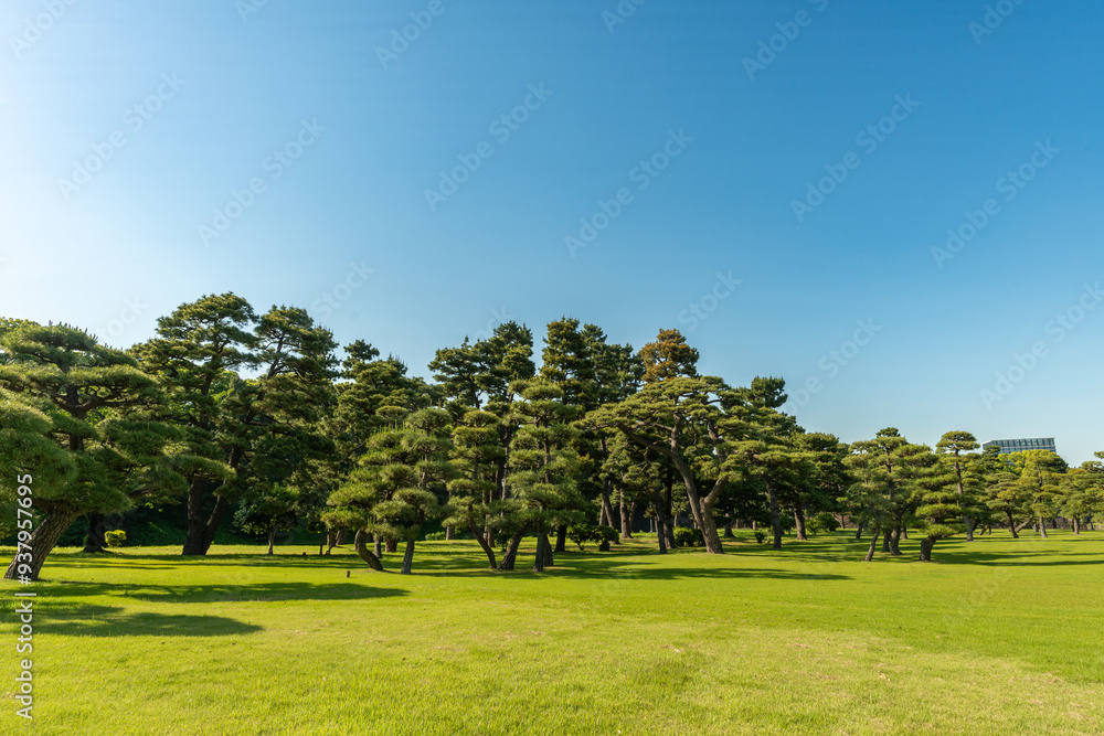 Vaste étendu dans les jardins impériaux à Ginza Vaste étendu dans les jardins impériaux à Ginza