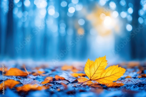 autumn leaves on the ground in a forest