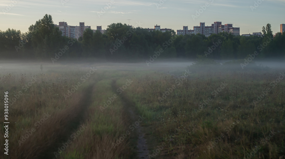 Fototapeta premium A soft summer morning mist drapes the fields near the city at the end of August, weaving through the golden grasses and whispering the promise of a new day.