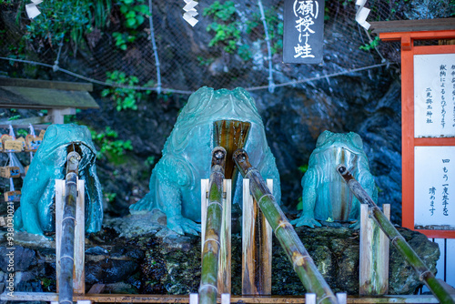 手水舎のカエル