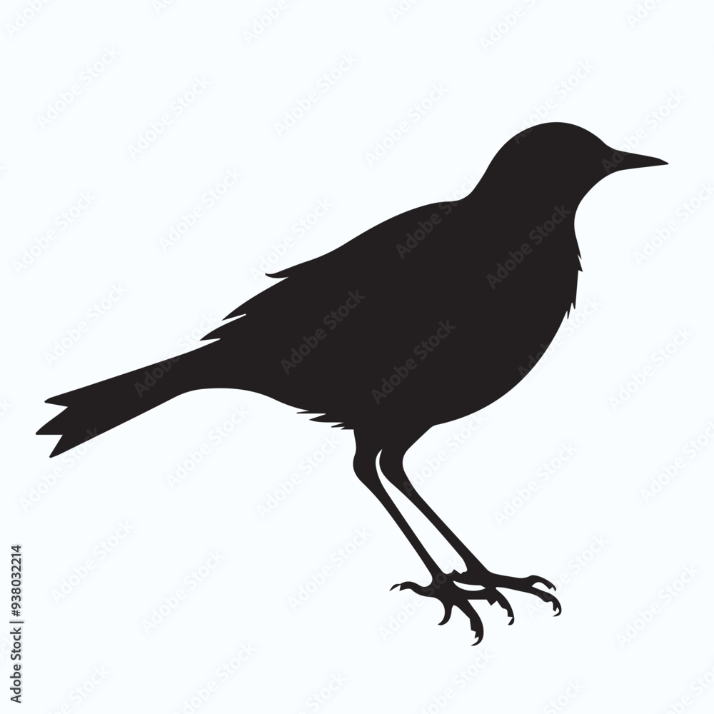 Bird Silhouette icon Bird Silhouette icon