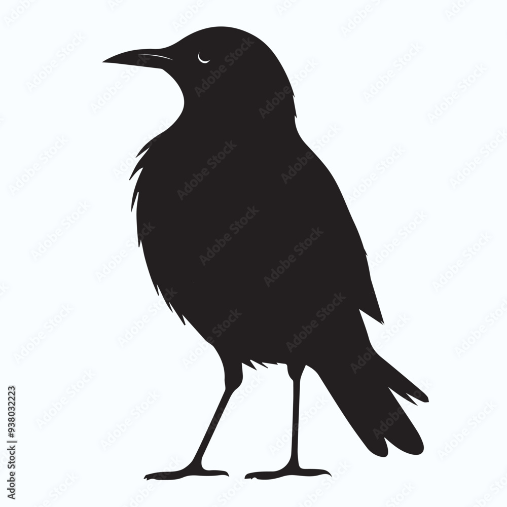 Fototapeta premium Bird Silhouette icon