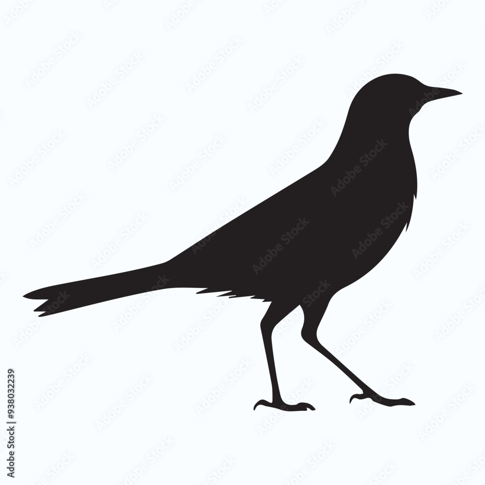 Bird Silhouette icon Bird Silhouette icon
