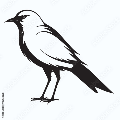 Bird Silhouette icon photo