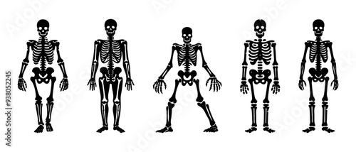 Halloween skeleton silhouette black filled vector Illustration icon
