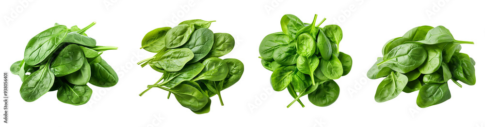 Fototapeta premium Fresh spinach leaves ,PNG