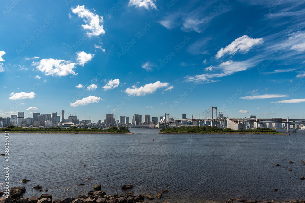 Naklejka premium Panorama sur la baie de Tokyo à Odaiba