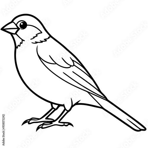 Sparrow Vector Illustration - Detailed Bird SVG Files for Cricut, Clipart, and T-Shirt Graphics