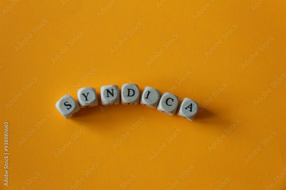 Fototapeta premium Syndica