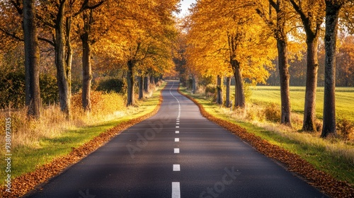 Golden autumn trees lining a winding road, seasonal transition and nature beauty, peaceful drive in the countryside