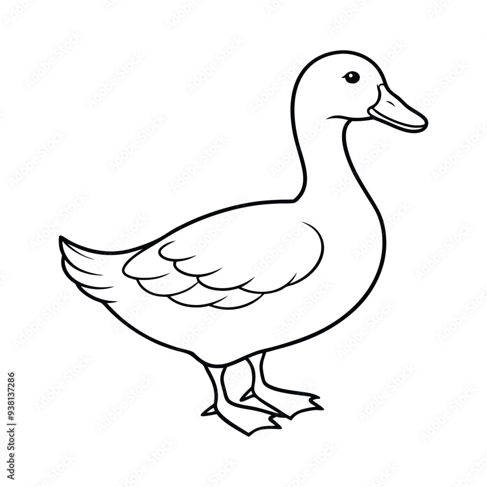 duck vector illustration duck vector illustration