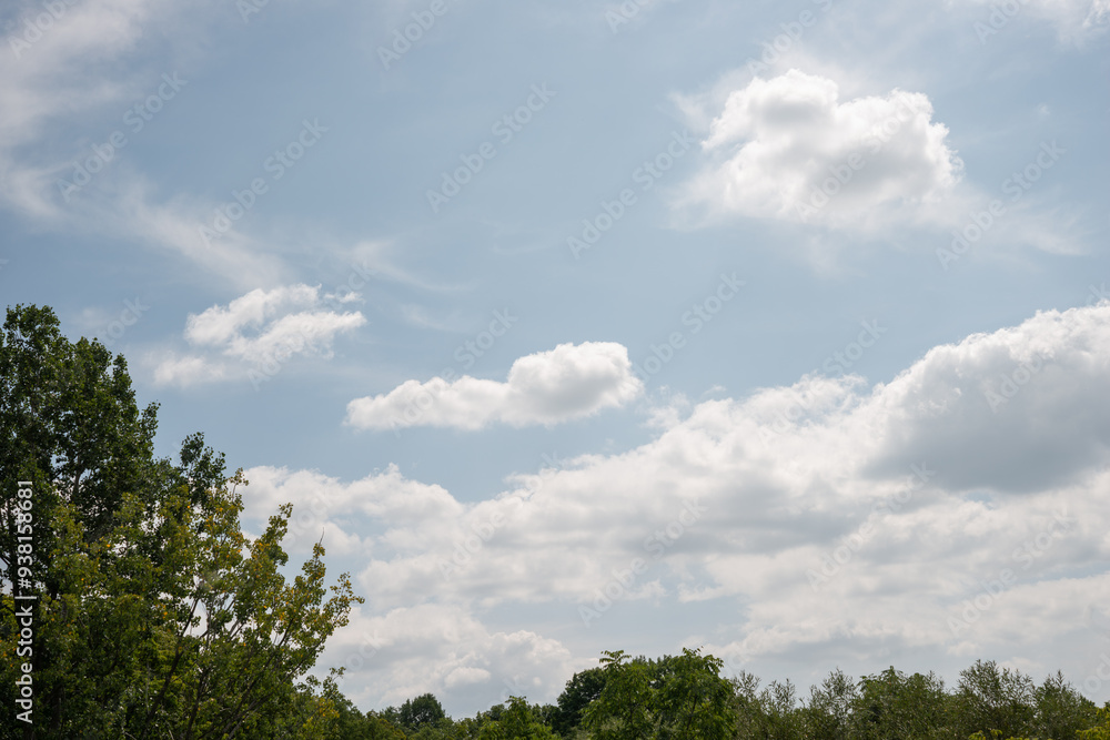 warm summer day with clouds and trees warm summer day with clouds and trees