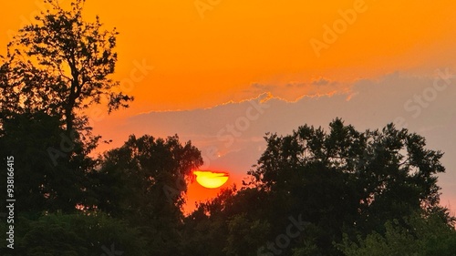 Beautiful sunset with golden sky in a park in Madrid, Spain photo