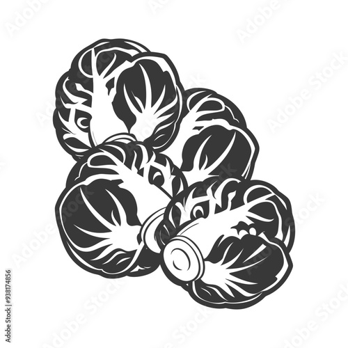 Black and White Illustration of Four Napa Cabbage Heads