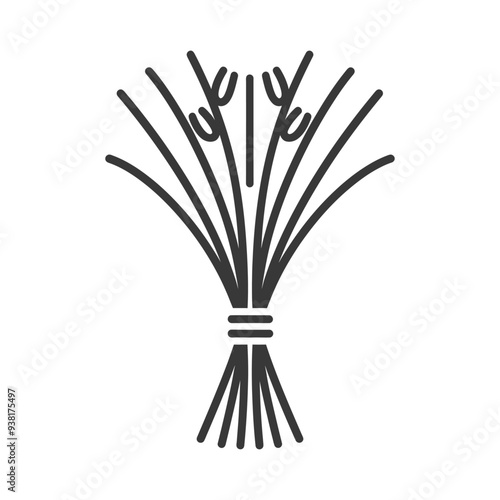 Black and white line art illustration of a bundle of lemongrass stalks tied together