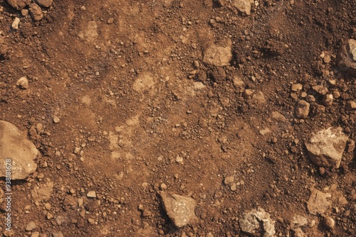 Earthy brown soil texture with scattered stones