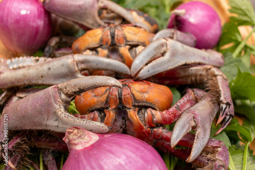 Raw red mangrove crabs (Ucides occidentalis) prepared for cooking, placed on a chopping board alongside onions, garlic, and fresh herbs like cilantro, parsley, and celery