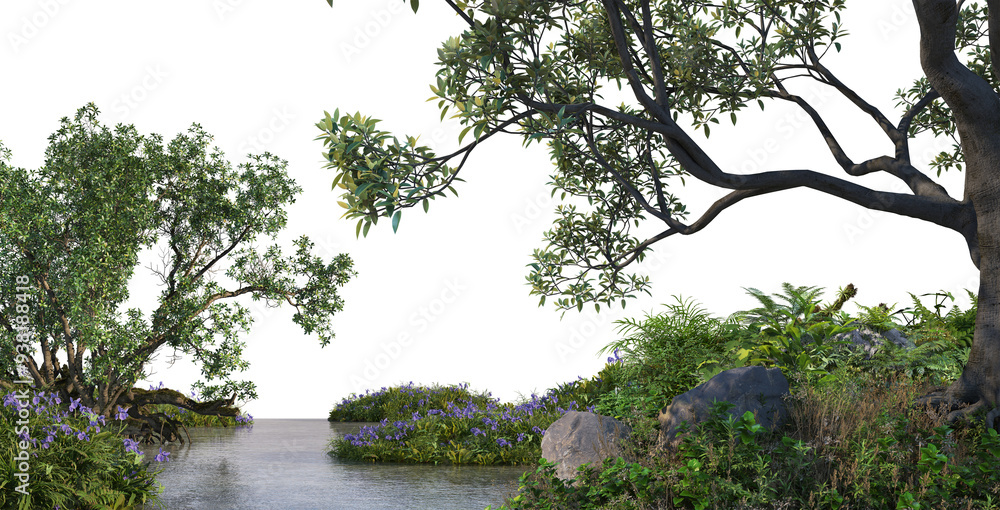 3D render foreground swamp with large plants and trees on transparent background 3D render foreground swamp with large plants and trees on transparent background