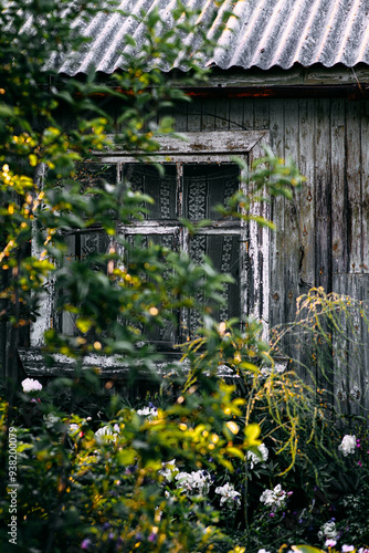 
Window to the garden. Old house and garden