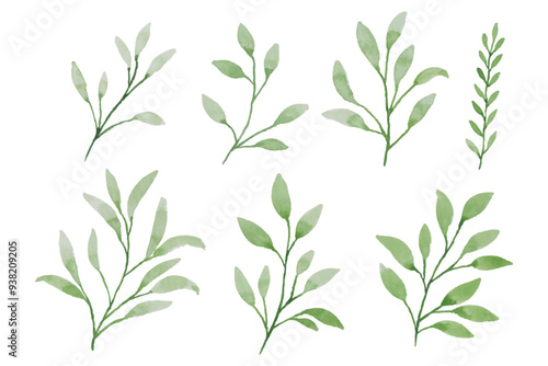 Assortment of watercolor leaves illustration set - green leaf branches collection for wedding, greetings, stationary, wallpapers, fashion, background. olive, green leaves, Eucalyptus etc