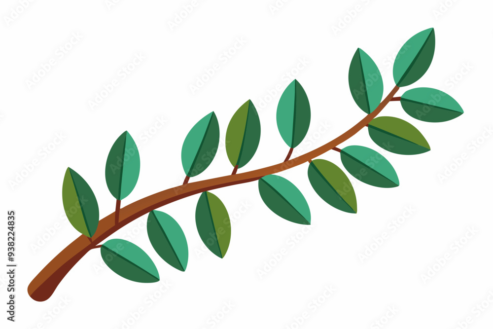 Fototapeta premium Large Horizontal Brown Branch with Green Eucalyptus Leaves on White Background