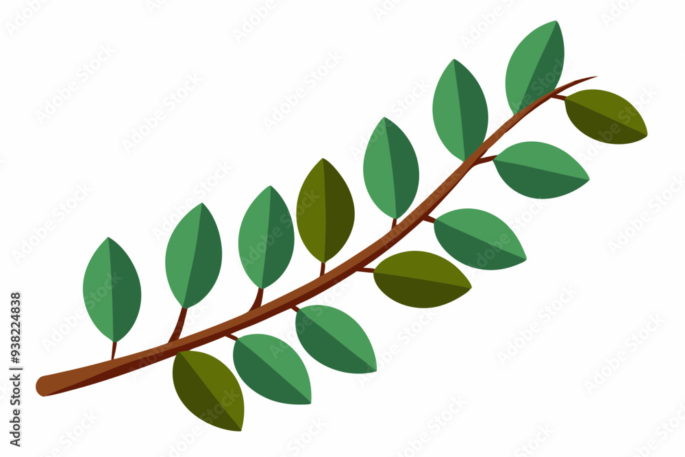 Large Horizontal Brown Branch with Green Eucalyptus Leaves on White Background Large Horizontal Brown Branch with Green Eucalyptus Leaves on White Background