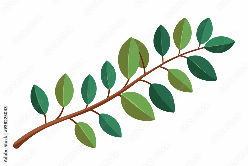 Large Horizontal Brown Branch with Green Eucalyptus Leaves on White Background Large Horizontal Brown Branch with Green Eucalyptus Leaves on White Background