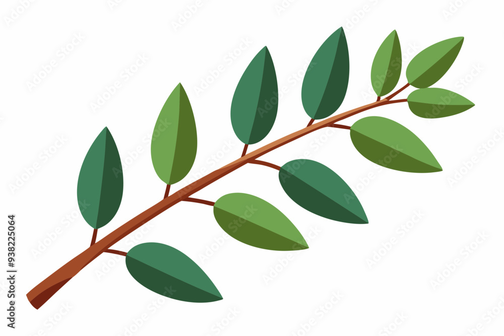 Fototapeta premium Large Horizontal Brown Branch with Green Eucalyptus Leaves on White Background