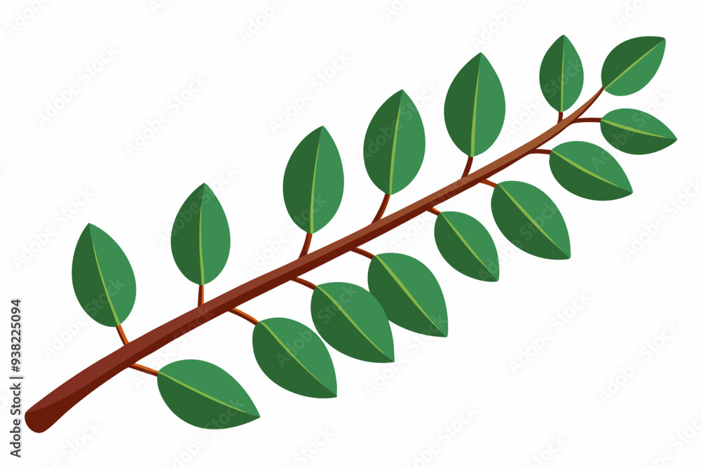 Large Horizontal Brown Branch with Green Eucalyptus Leaves on White Background Large Horizontal Brown Branch with Green Eucalyptus Leaves on White Background