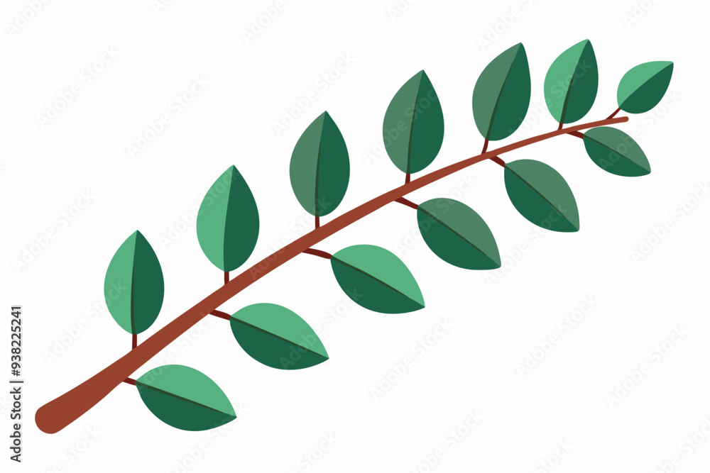 Large Horizontal Brown Branch with Green Eucalyptus Leaves on White Background Large Horizontal Brown Branch with Green Eucalyptus Leaves on White Background
