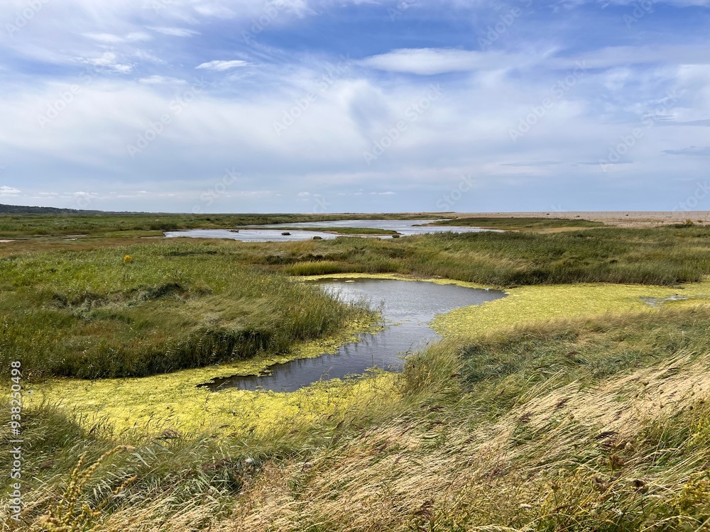 Landscape view of beautiful nature reserve for bird watching wildlife lakes in marsh land by ocean in Cley Next the Sea Norfolk East Anglia uk reeds grass by water lake on Summer day blue cloud skies Landscape view of beautiful nature reserve for bird watching wildlife lakes in marsh land by ocean in Cley Next the Sea Norfolk East Anglia uk reeds grass by water lake on Summer day blue cloud skies