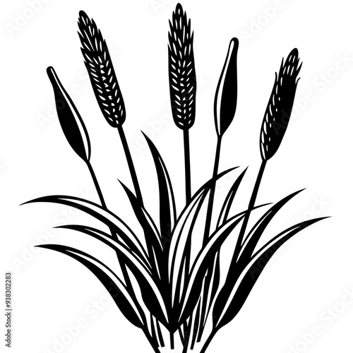 Reed  Art art vector illustration