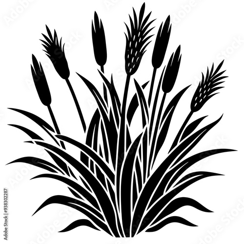 Reed  Art art vector illustration