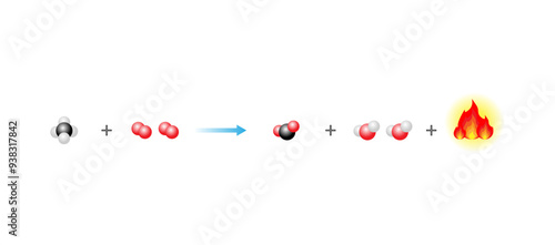 Combustion reaction. chemical reaction hydrocarbon and oxygen reaction to produce carbon dioxide, water and heat. Experiment explanation. Scientific vector illustration.