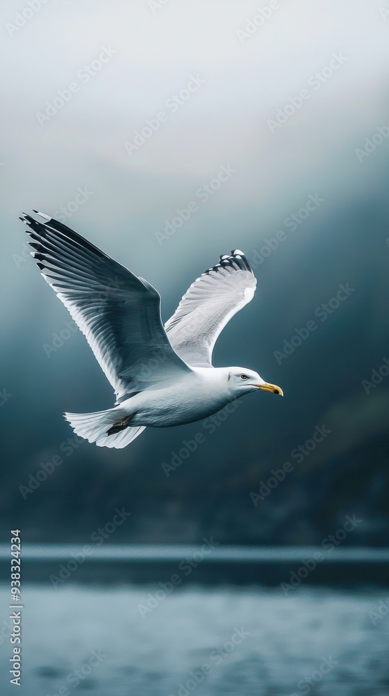 An airy, high-quality image of a mystical seagull, showcasing its ethereal beauty and intricate feather details against a soft, dreamlike background. An airy, high-quality image of a mystical seagull, showcasing its ethereal beauty and intricate feather details against a soft, dreamlike background.