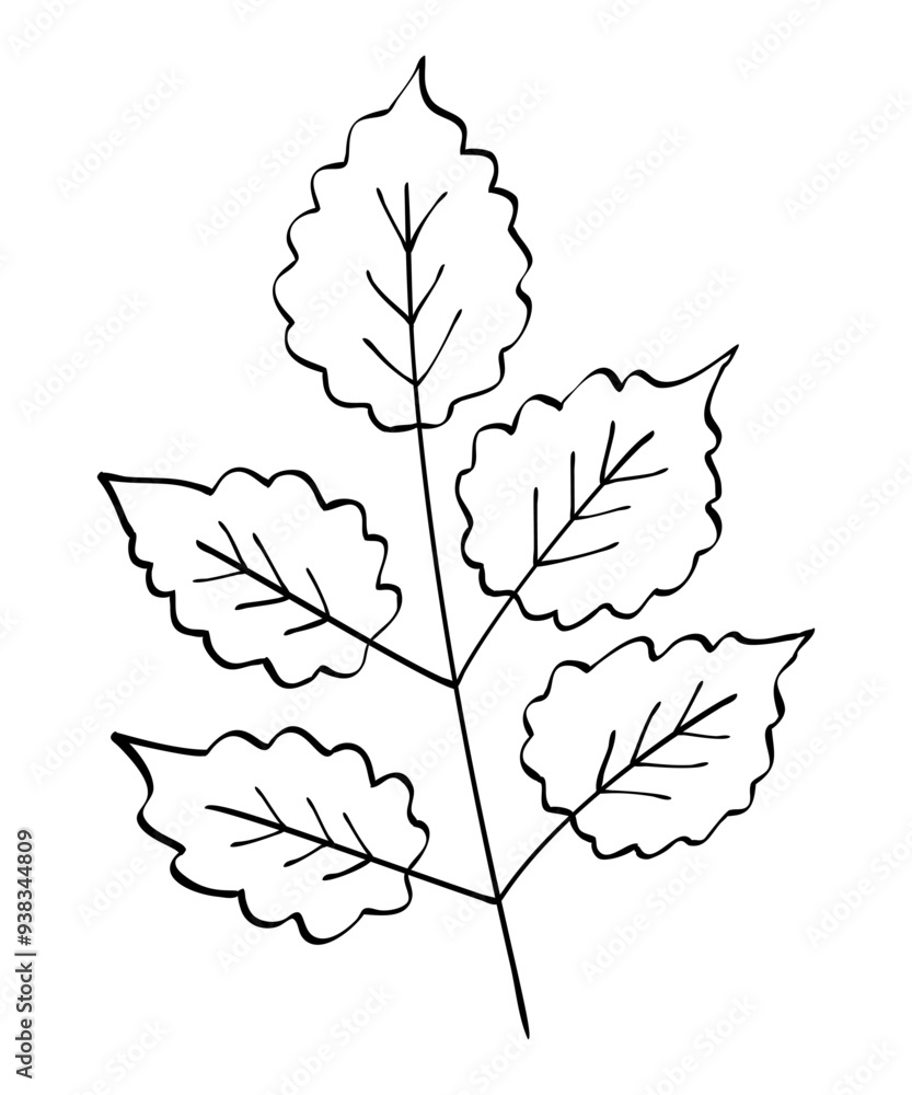 Autumn summer spring twig sprout wild plant with leaves drawn with black line contour for decorative pattern. Flat doodle style. Vector illustration. Autumn summer spring twig sprout wild plant with leaves drawn with black line contour for decorative pattern. Flat doodle style. Vector illustration.