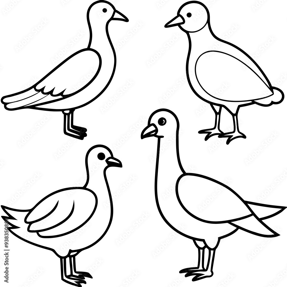 Fototapeta premium A Set Of Birds 