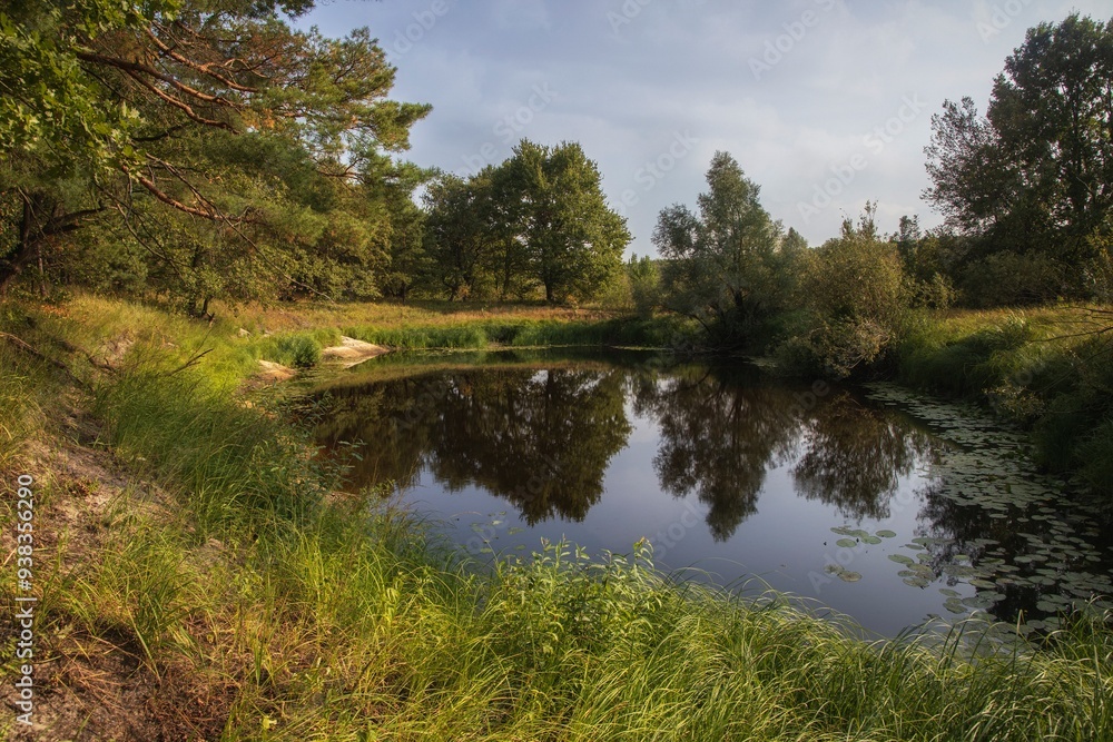 Forest lake with mirror reflection trees Forest lake with mirror reflection trees