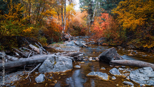 American Fork river surrounded with fall foliage at American Fork canyon in Utah photo