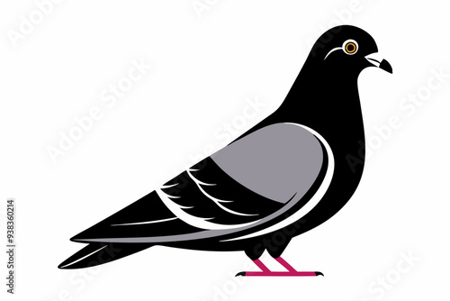 Pigeon isolated on silhouette premium vector and black design white background photo