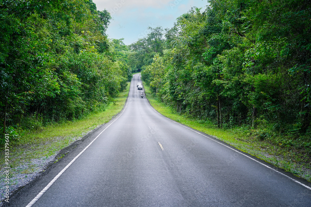 Obraz premium Car and motorcycle on concrete roadway through a green nature park with trees in the forest, Khao Yai National Park, Thailand.