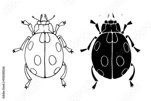 Line sketch, silhouette, stamp of a winged insect ladybug. Vector graphics.