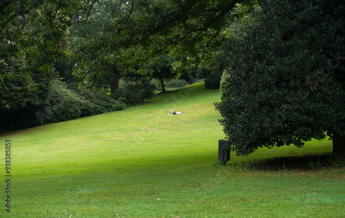 Relaxation in the park